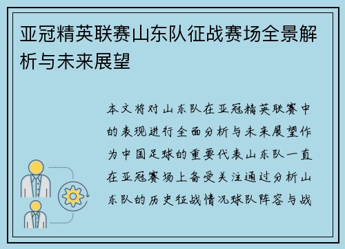 亚冠精英联赛山东队征战赛场全景解析与未来展望 亚冠精英联赛山东队征战赛场全景解析与未来展望