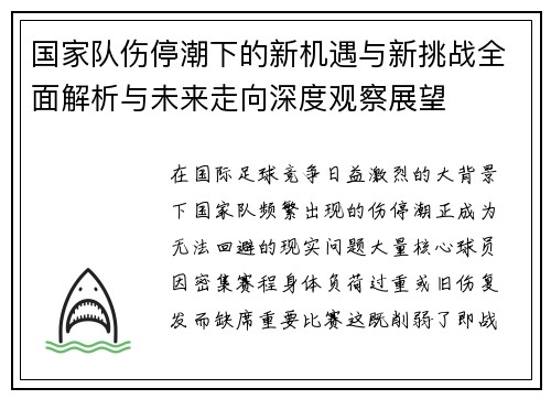 国家队伤停潮下的新机遇与新挑战全面解析与未来走向深度观察展望