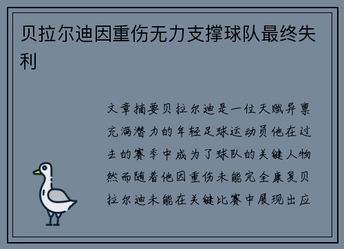 贝拉尔迪因重伤无力支撑球队最终失利